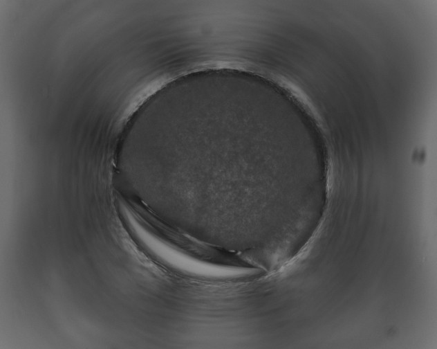 X0000089910977200707060955