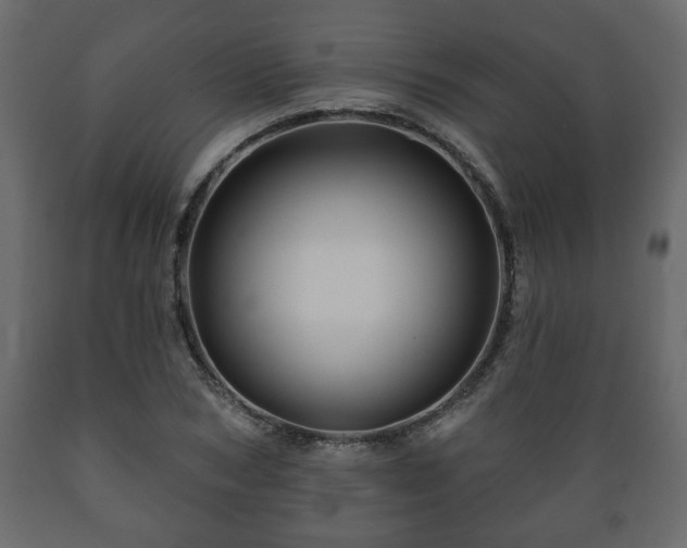 X0000089910978200707060955