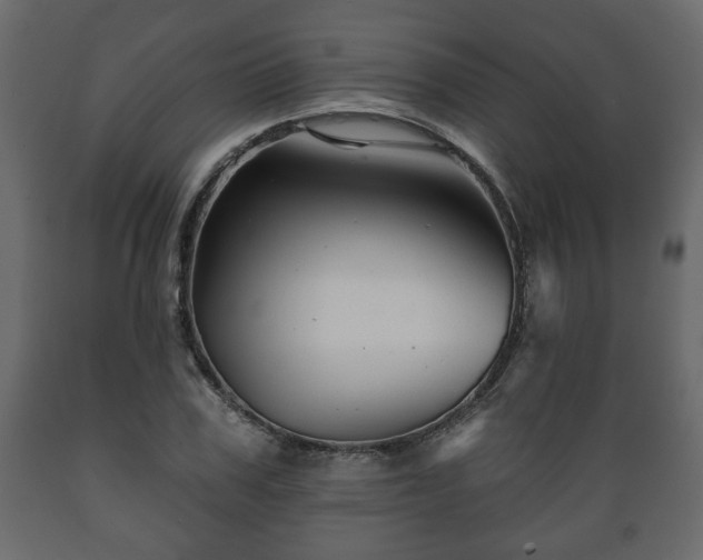 X0000089910979200707060955