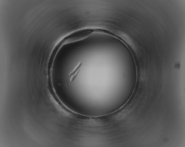 X0000089910980200707060955
