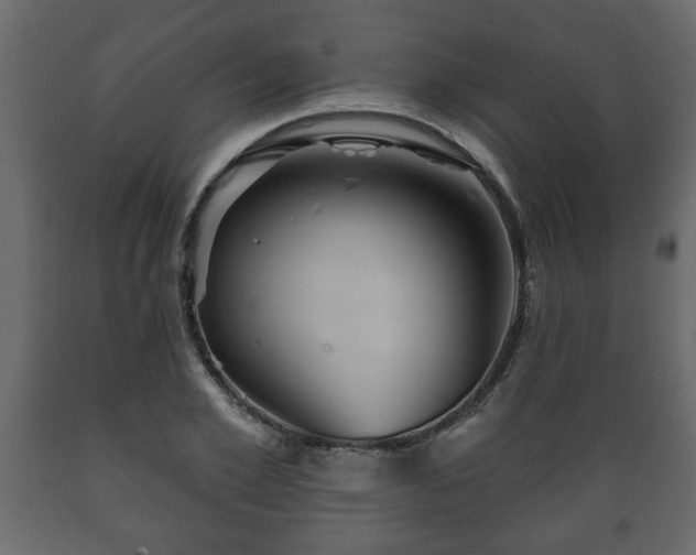 X0000089910981200707060955