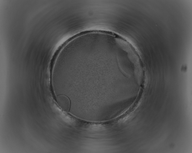X0000089910982200707060955