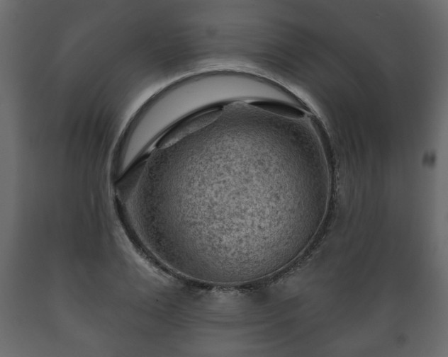 X0000089910983200707060955