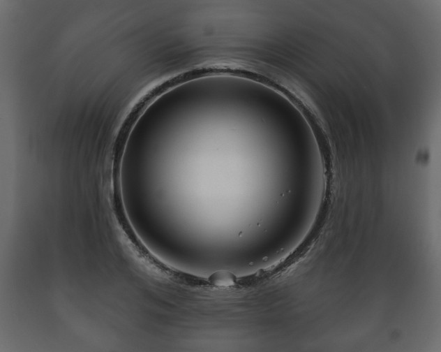 X0000089910984200707060955