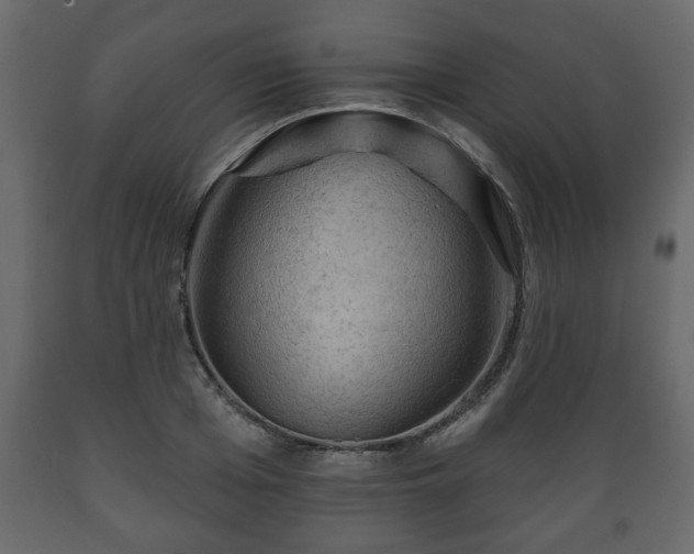 X0000089910985200707060955