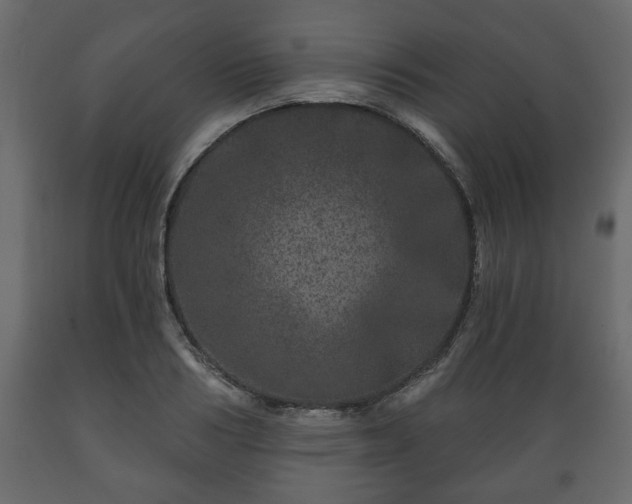 X0000089910986200707060955