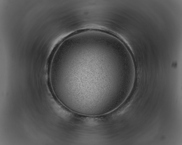 X0000089910987200707060955