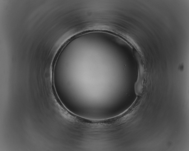 X0000089910988200707060955