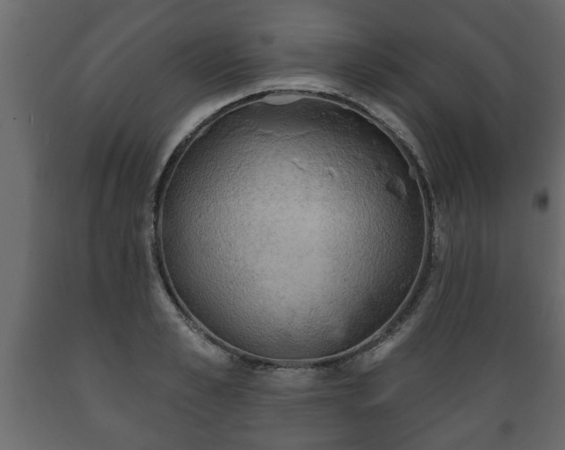 X0000089910989200707060955