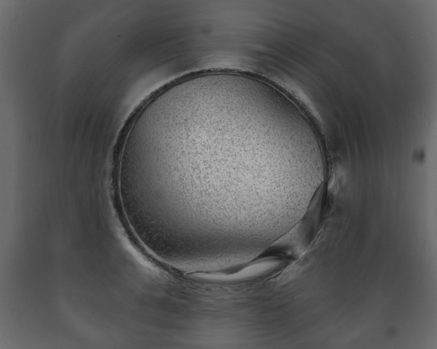 X0000089910991200707060955
