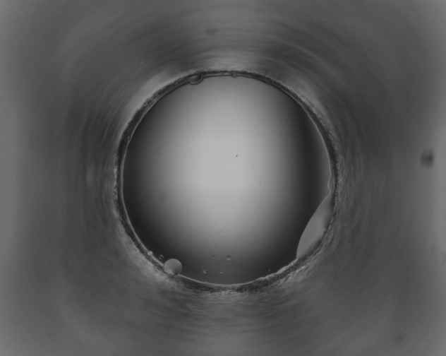 X0000089910992200707060955