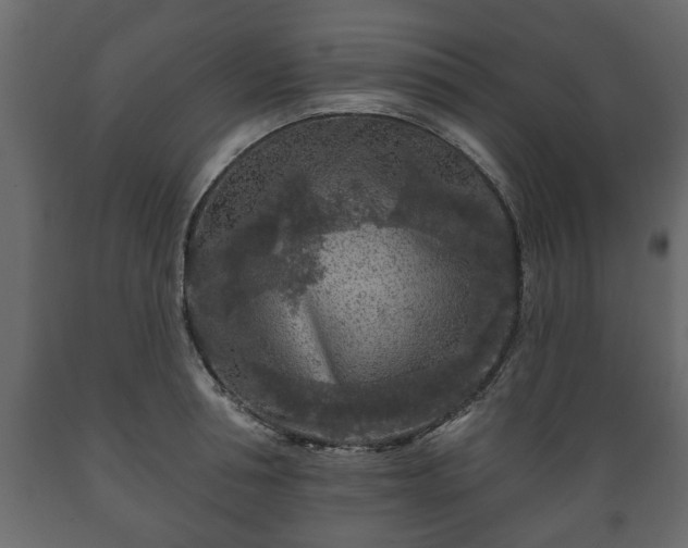 X0000089910994200707060955