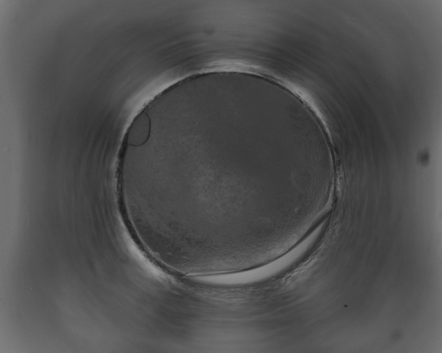 X0000089910995200707060955