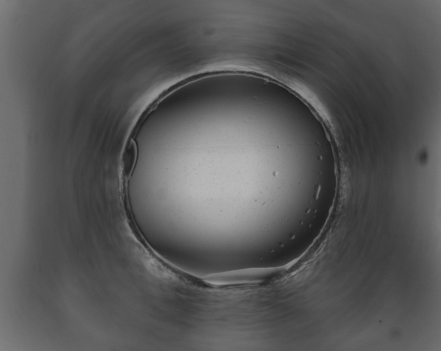 X0000089910996200707060955