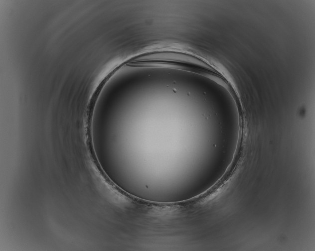 X0000089910997200707060955