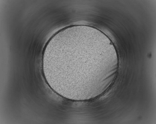 X0000089911000200707060955