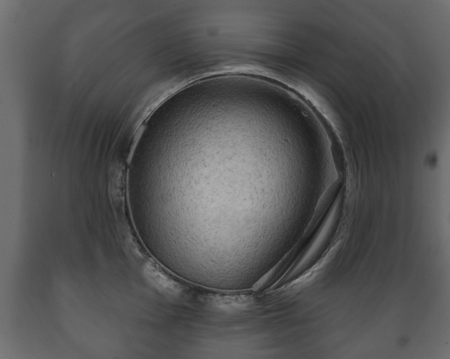 X0000089911001200707060955