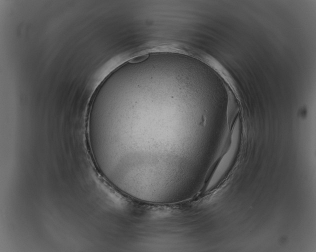 X0000089911002200707060955