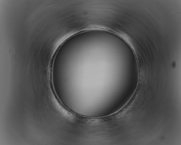 X0000089911003200707060955