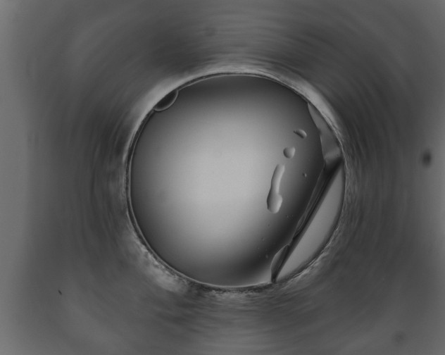 X0000089911004200707060955
