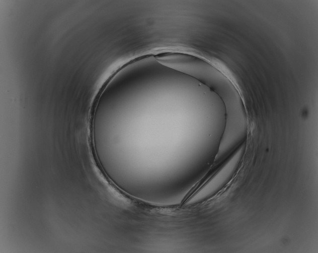 X0000089911005200707060955