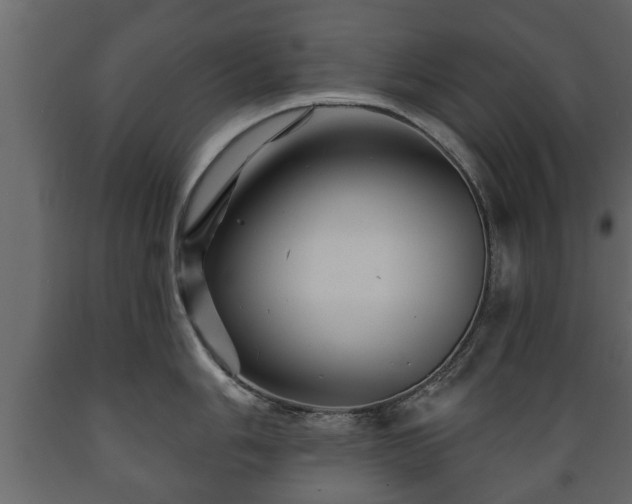 X0000089911006200707060955