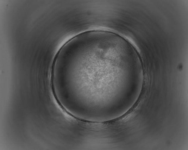 X0000089911007200707060955