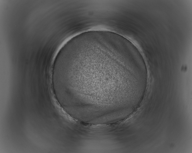 X0000089911008200707060955