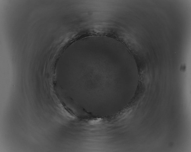 X0000089911009200707060954