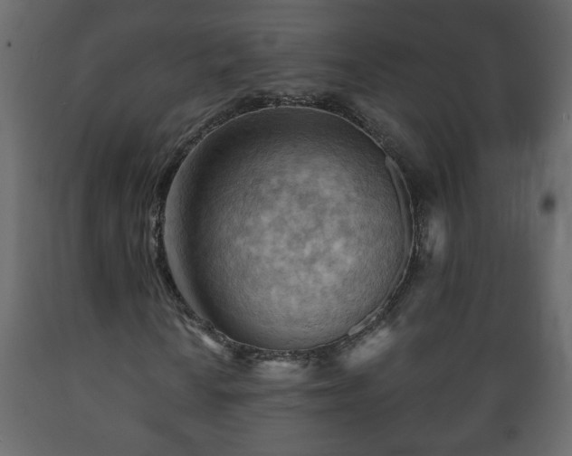 X0000089911010200707060954