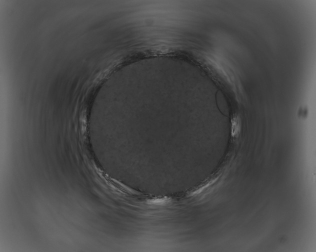 X0000089911011200707060954
