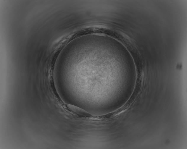 X0000089911014200707060954