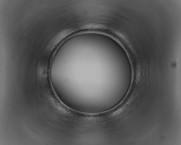 X0000089911017200707060954