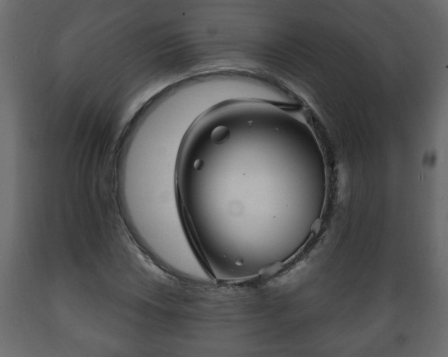 X0000089911018200707060954