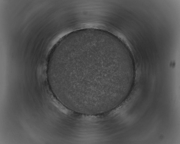 X0000089911019200707060954