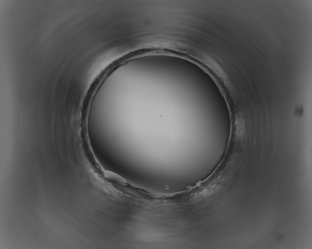 X0000089911020200707060954