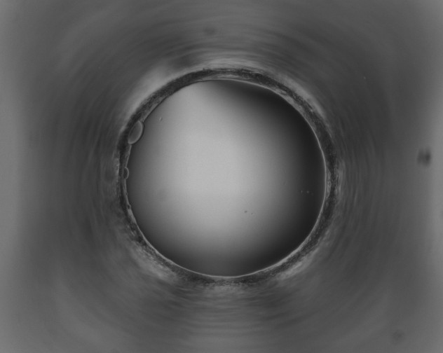 X0000089911021200707060954