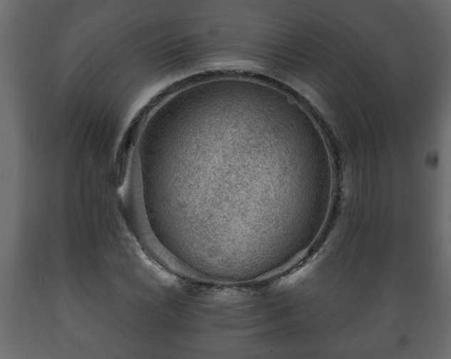 X0000089911022200707060954
