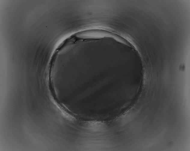 X0000089911024200707060954