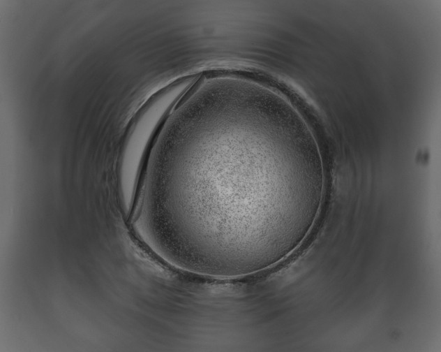 X0000089911025200707060954