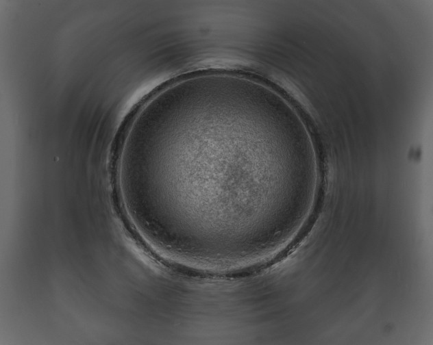 X0000089911026200707060954
