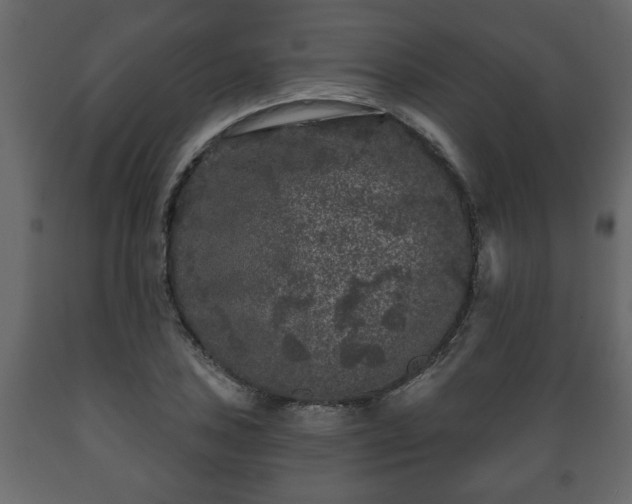 X0000089911027200707060954