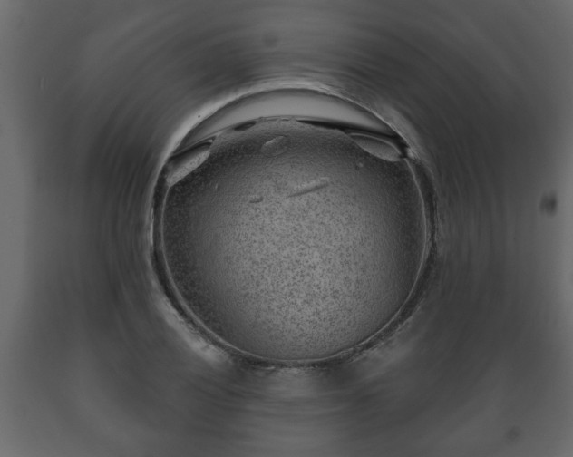 X0000089911028200707060955