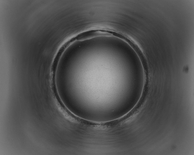 X0000089911029200707060955