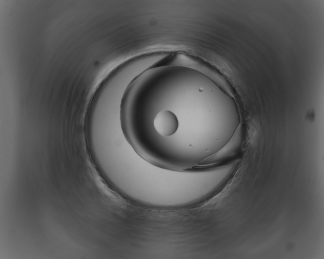 X0000089911030200707060955