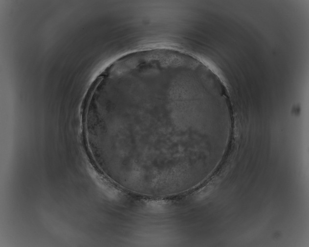 X0000089911031200707060955