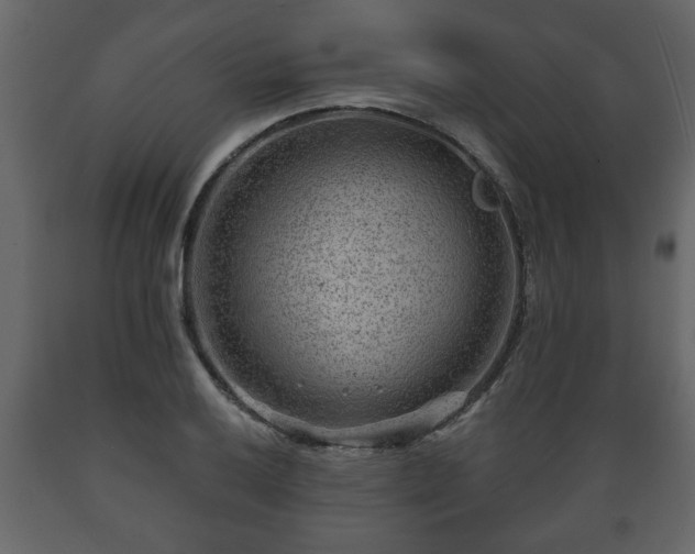 X0000089911032200707060955