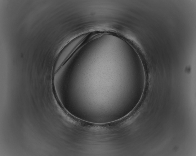 X0000089911033200707060955
