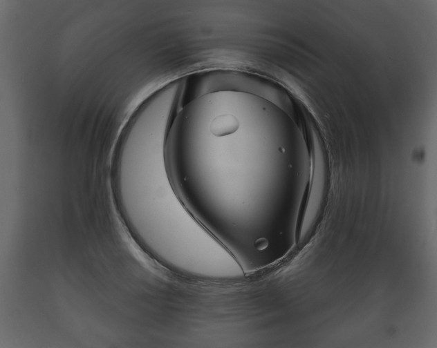X0000089911034200707060955