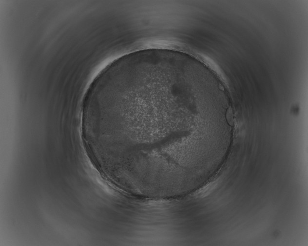 X0000089911035200707060955